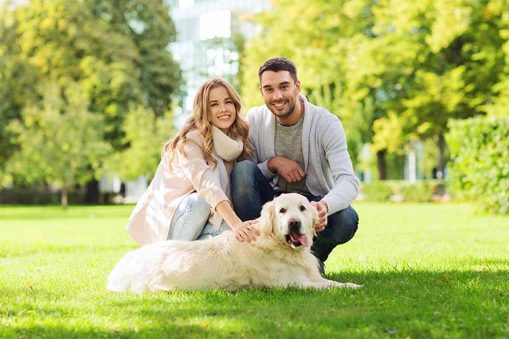 family, pet, animal and people concept - happy couple with labrador retriever dog walking in city park
