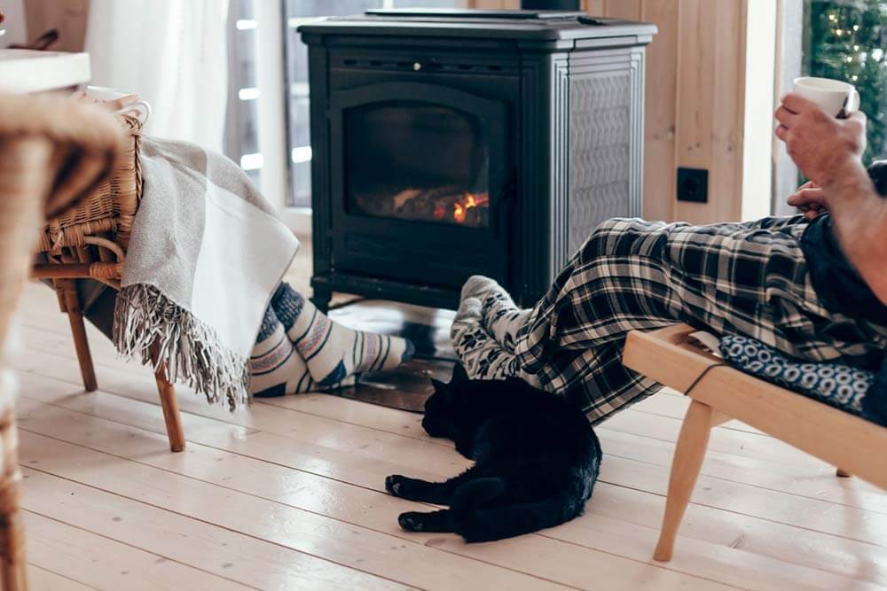 Family and cat wood stove