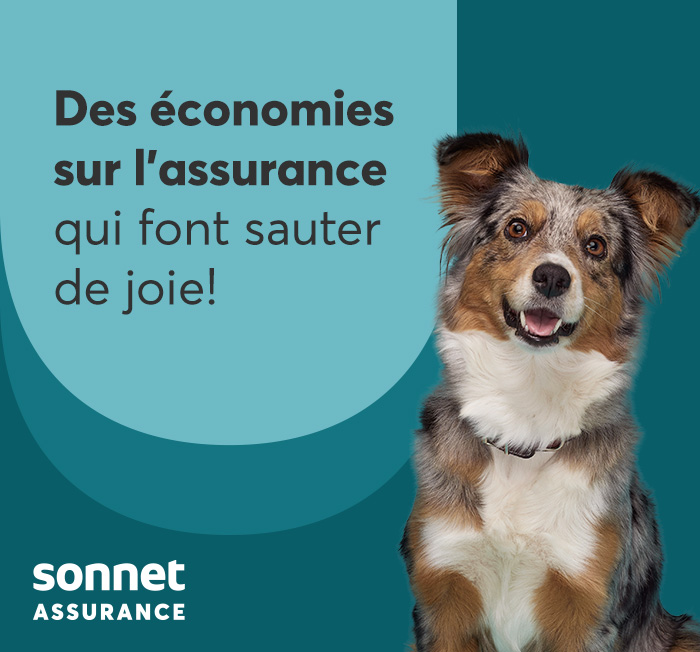 Chien