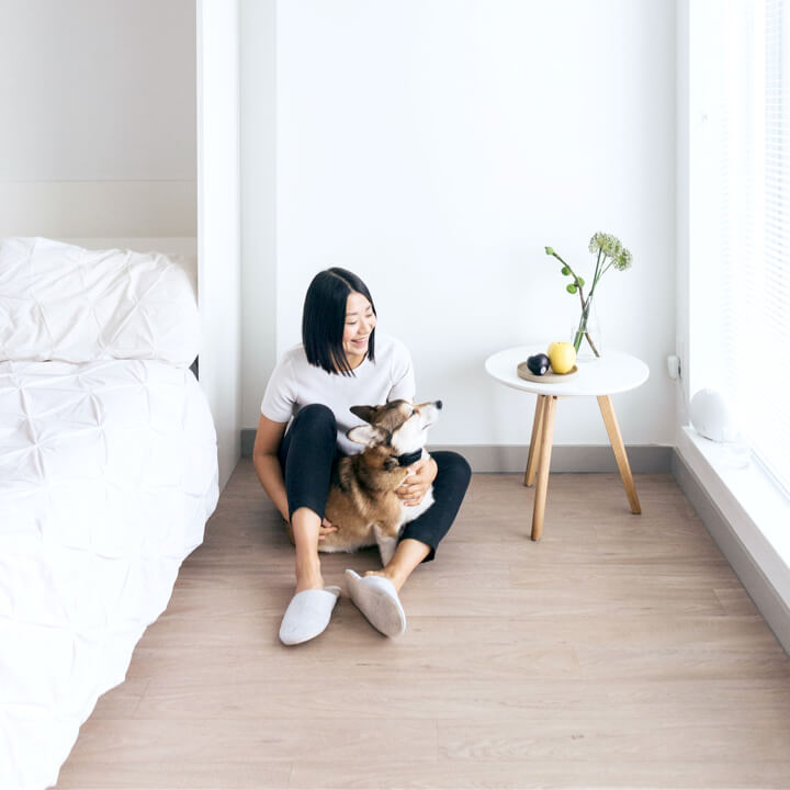 Rocky mountains